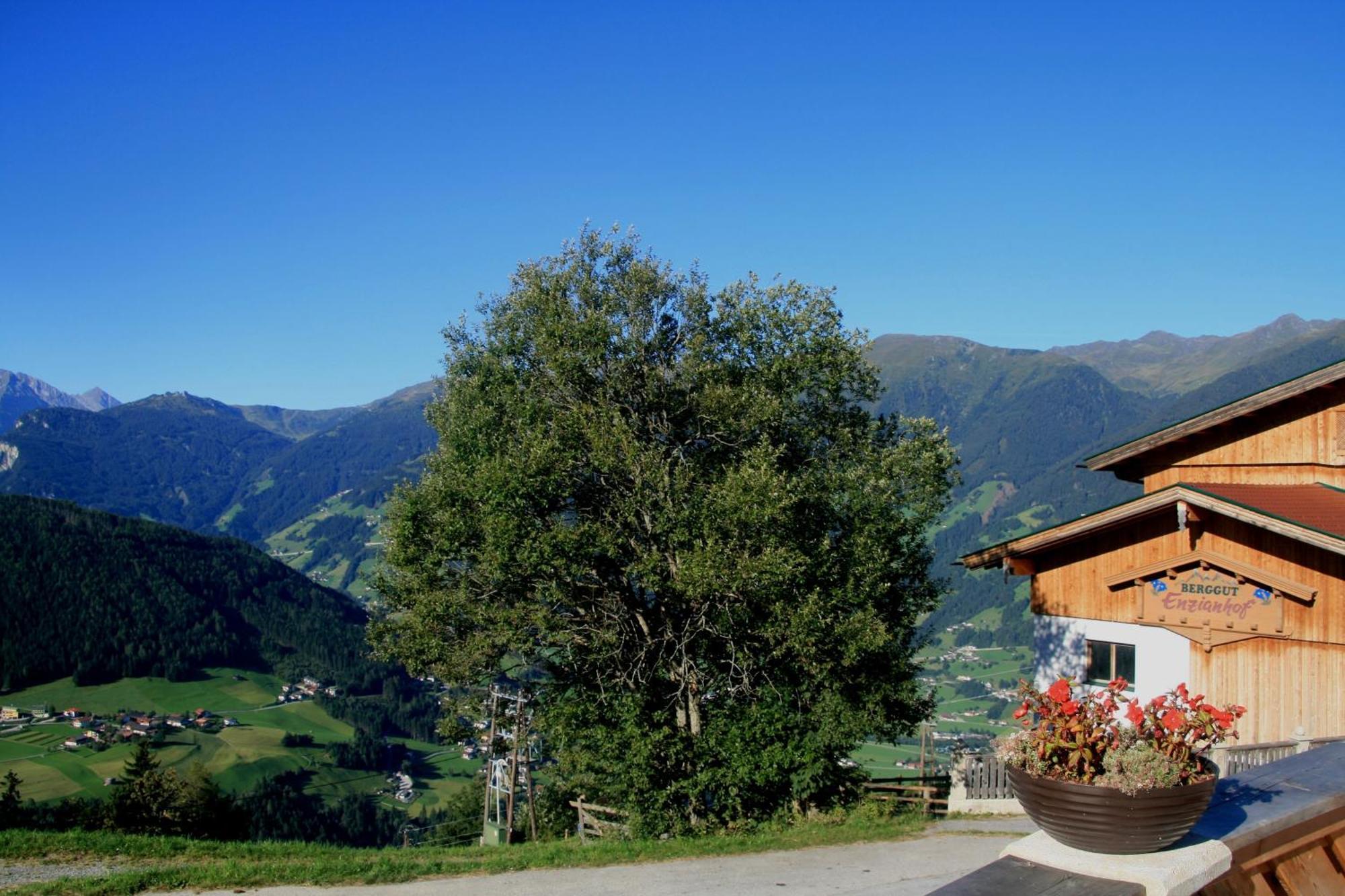 Alpengasthof Enzianhof Zell am Ziller Dış mekan fotoğraf